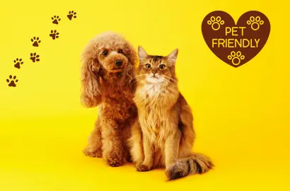 Pet Friendly